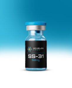 SS31